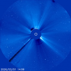 Images of the solar corona